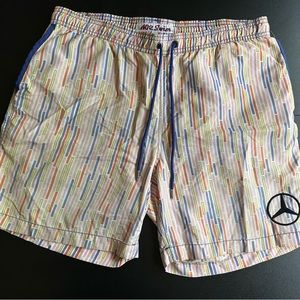 Mr. Swim swim shorts
